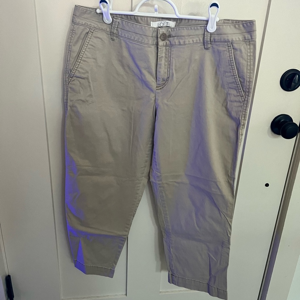 Loft capri pants